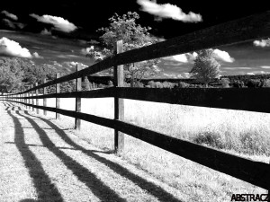 Decide on a direction and proceed with an open lens.